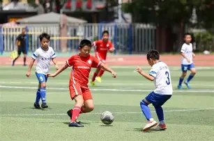 大乐透期号,专家推荐,质合分析揭,PG电子官网,PG电子试玩,PG电子模拟器,PG电子平台,PG电子下载