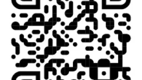 2017年重大更新：国家自然科学基金条例实施新修订