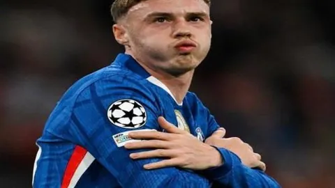 万智牌忍者神龟联名披萨礼盒补货发布限定内容详览